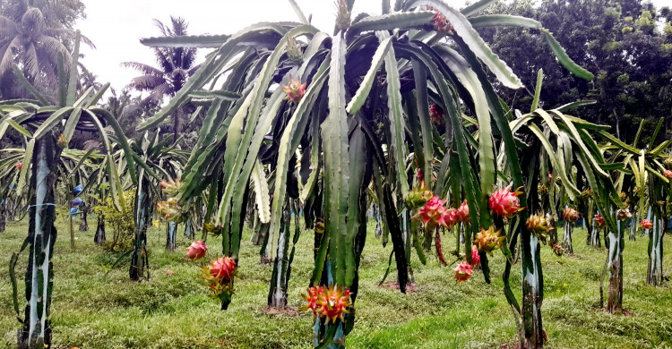 Ikki sayyoh bilan jinsiy aloqa Yalangoch Mel B