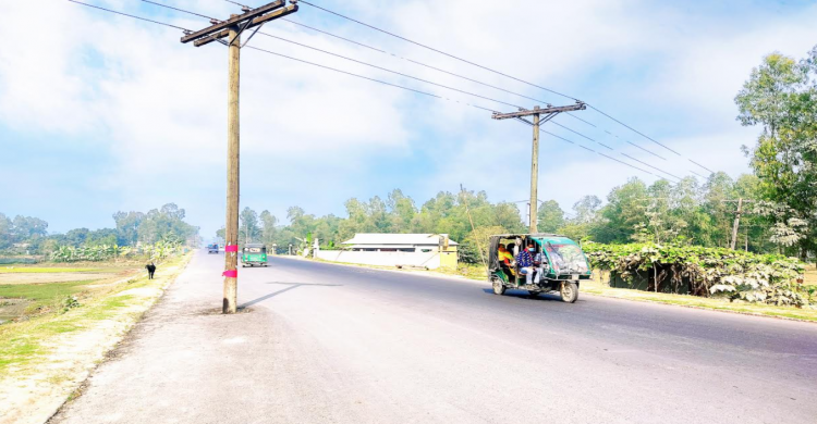 ক্যাপশন: তারাকান্দি-ভূঞাপুর আঞ্চলিক মহাসড়কে বিদ্যুতের খুঁটি
