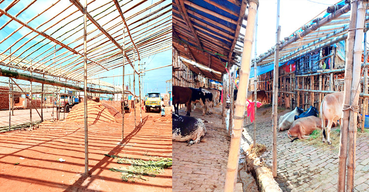 ছবিটি সোমবার গাবতলীর পশু হাট থেকে তোলা