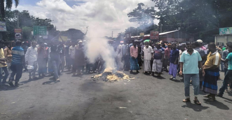 Katta kapalaklar mushuk porno